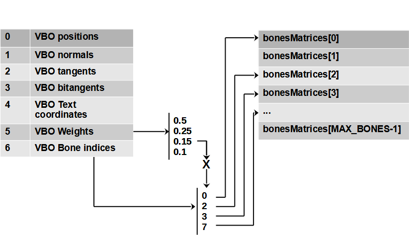Bones weights